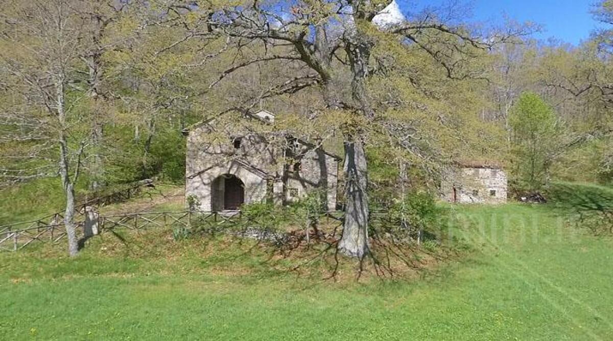 Domenica 9 giugno un'escursione nei sentieri del monte Carpegna -