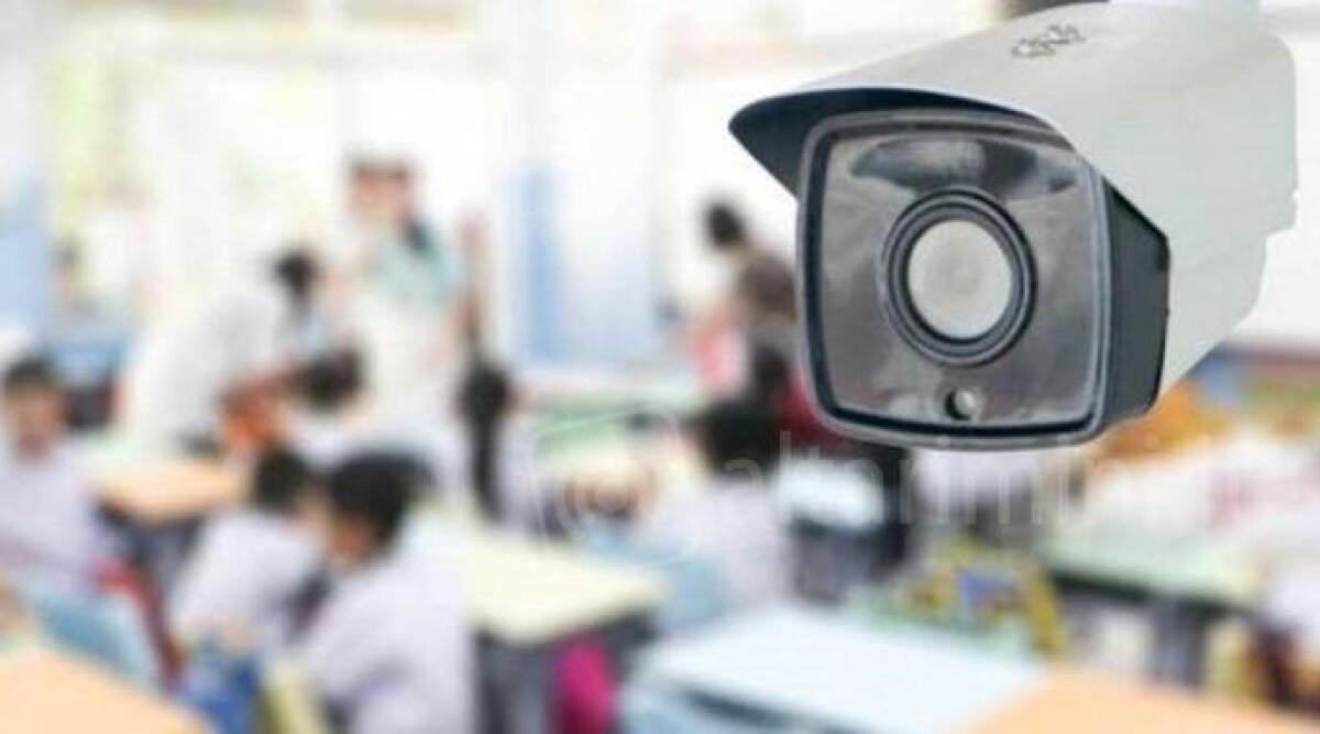 Telecamere negli asili, Lega attacca il vicesindaco di Rimini: "fa solo crociate contro il governo" - 