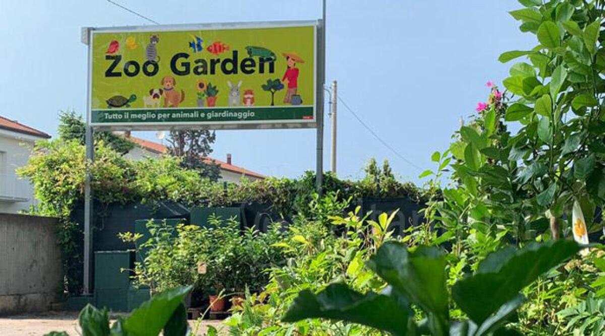 Il sogno di Marcello e Laura &egrave; diventato realt&agrave;: il negozio di animali Zoo Garden festeggia 20 anni - 