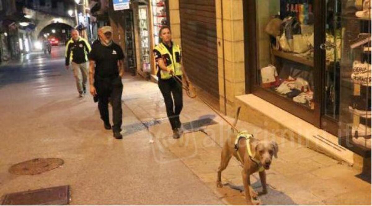 Weekend a quattro zampe a San Marino con l'Unit&agrave; cinofila di soccorso - 