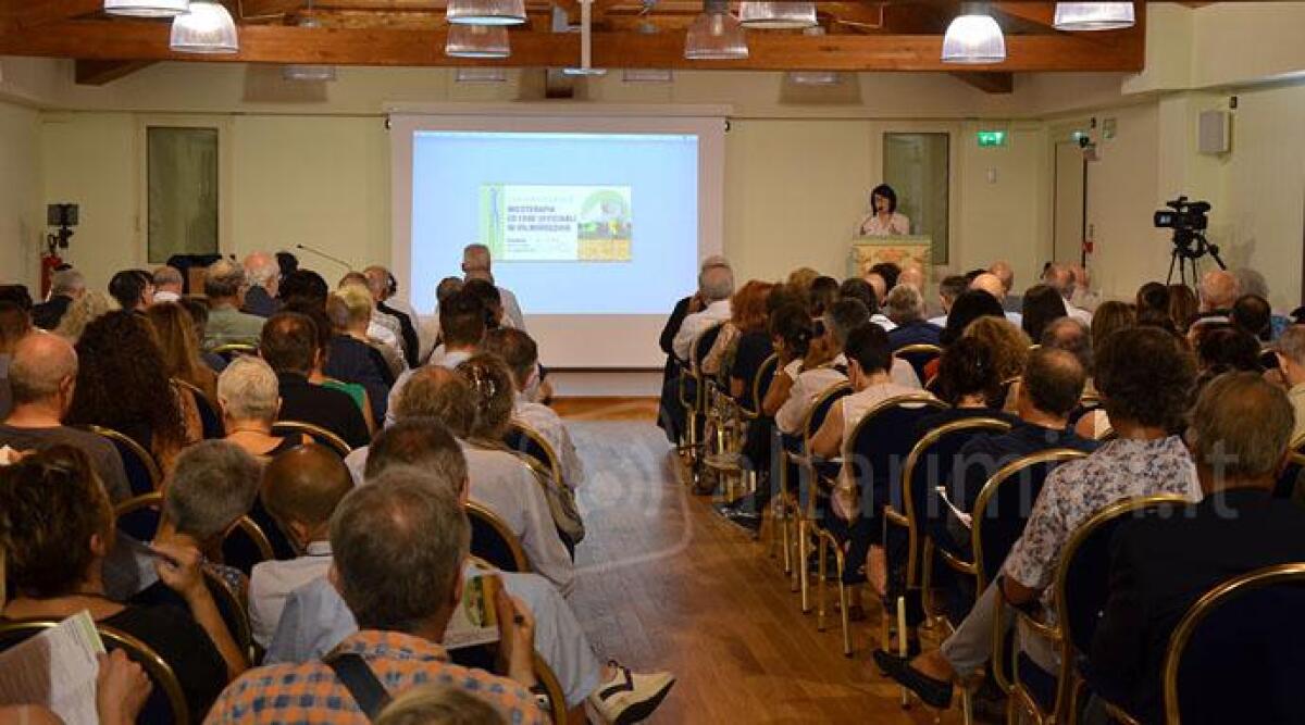 Medicinali dai funghi e dalle erbe coltivate in Alta Valmarecchia, ecco l'ambizioso progetto - 