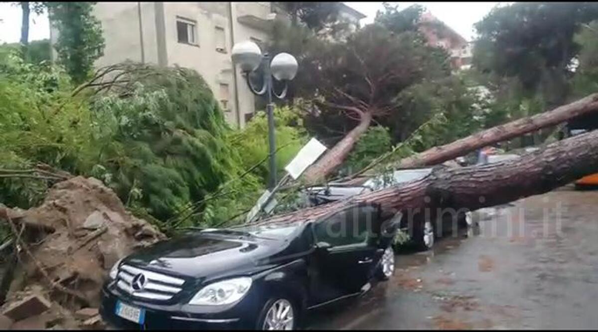 VIDEO Violento temporale, alberi crollano a Milano Marittima sulle auto: danni in spiaggia -