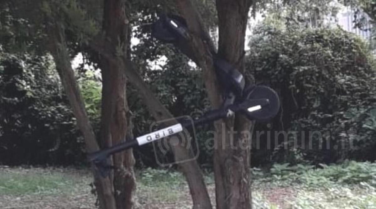 Monopattini usati e abbandonati pericolosamente al Parco Cervi: la segnalazione - 