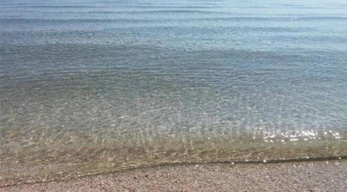 Tutti al mare: le acque di Rimini, Riccione e Cattolica sono state dichiarate di nuovo pulite - 