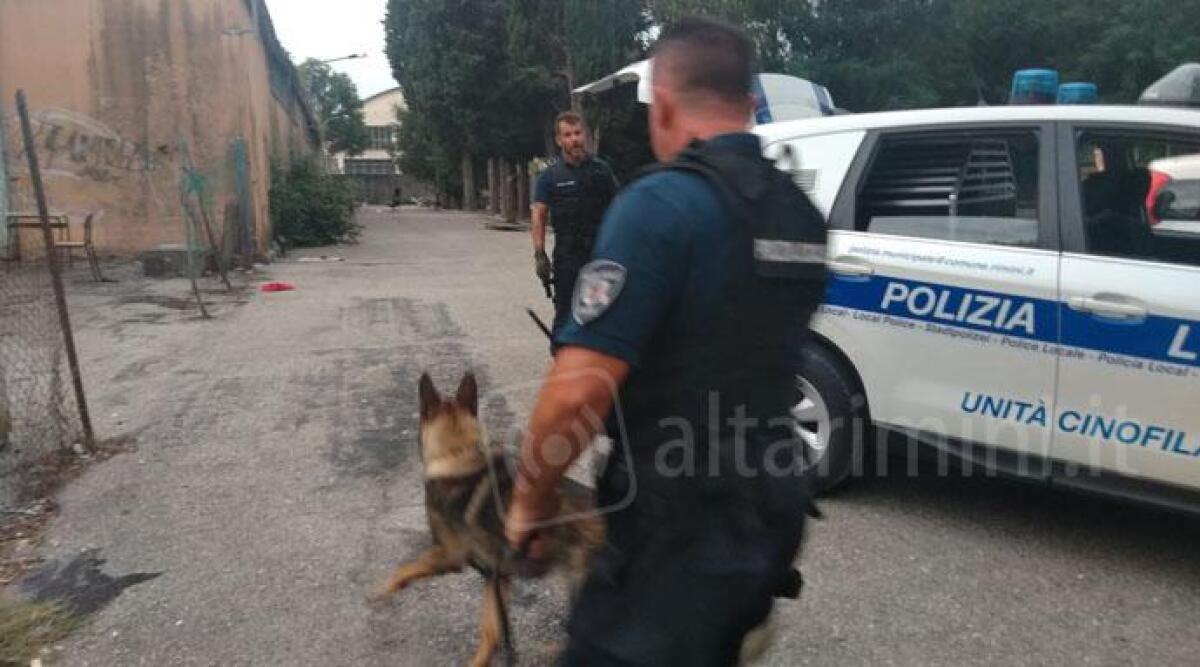 Parchi Murri e Marecchia al setaccio dei cani antidroga della Polizia Municipale di Rimini - 