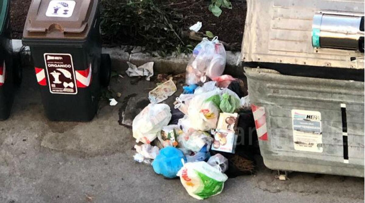 Rifiuti abbandonati fuori dai cassonetti da giorni a Rimini, la segnalazione di un lettore - Rifiuti abbandonati ARCHIVIO