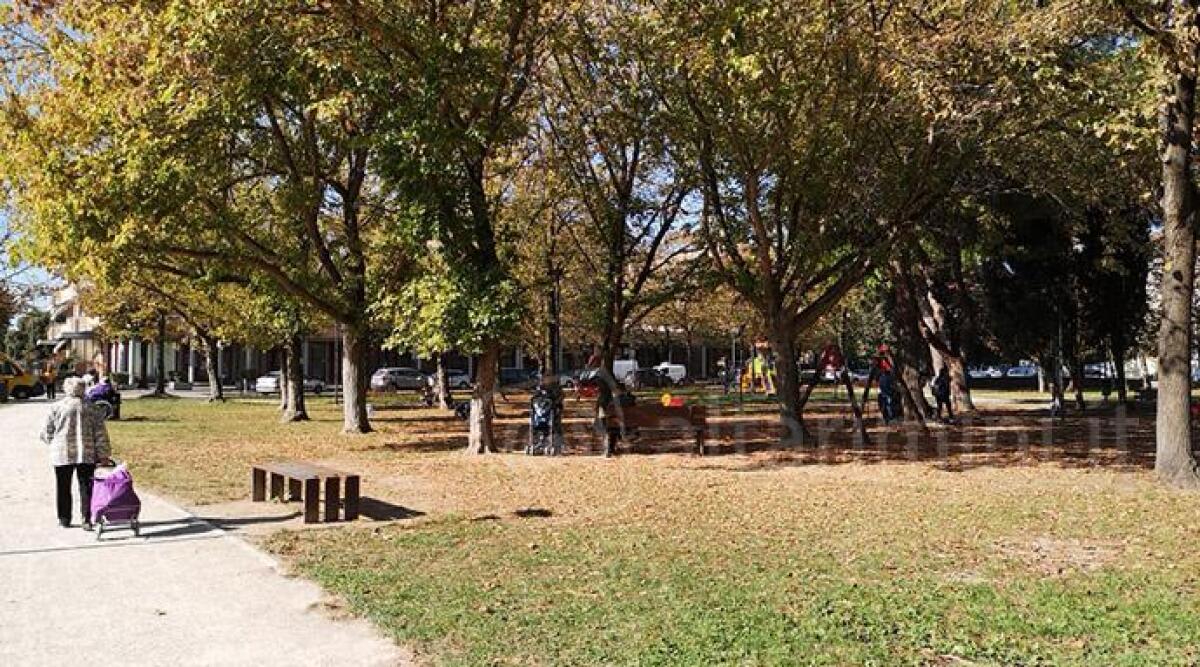 Parco del Comune di Bellaria cambia volto con area sgambamento cani e campo sportivo - 