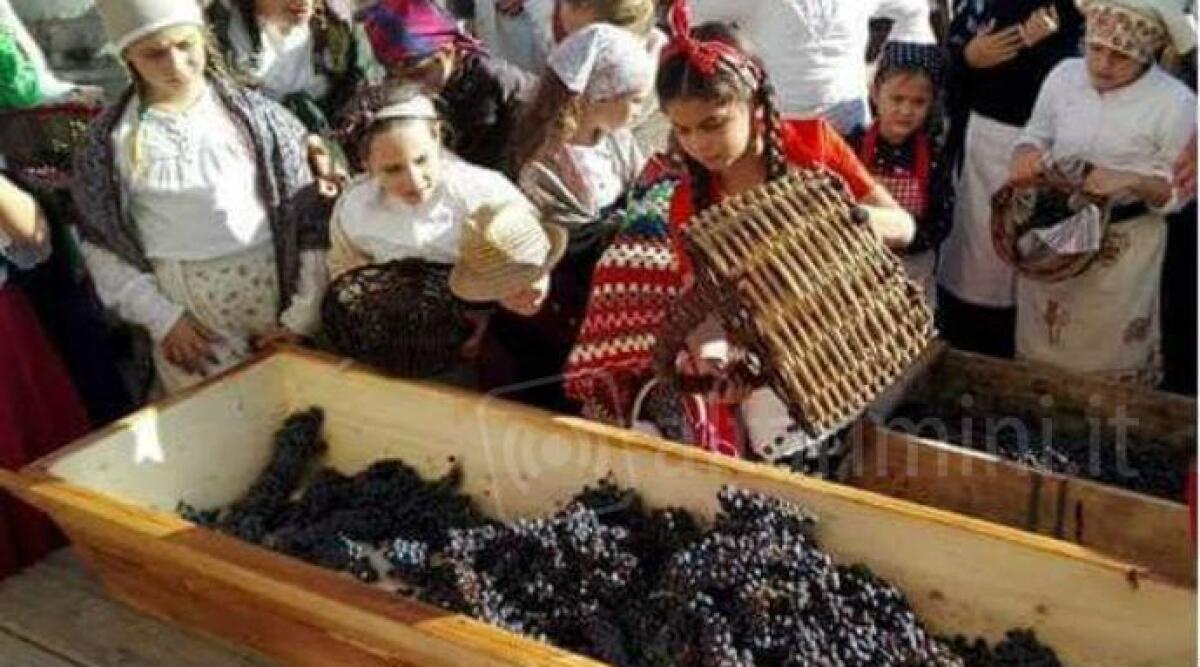 Novafeltria riscopre le tradizioni con la terza Festa della Vendemmia - 