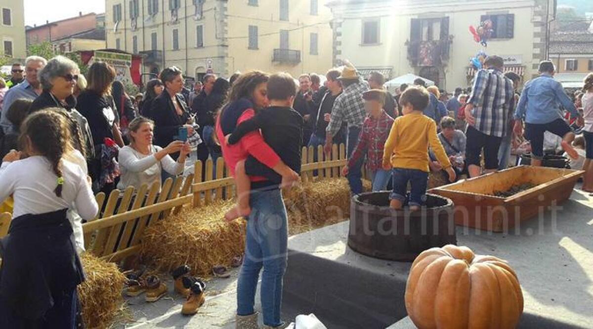 FOTO Novafeltria, grande partecipazione alla terza Festa della Vendemmia - 