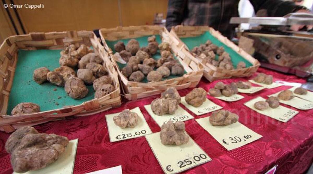 Fiera del Tartufo Di Sant'Agata, secondo appuntamento da 40mila visitatori - 
