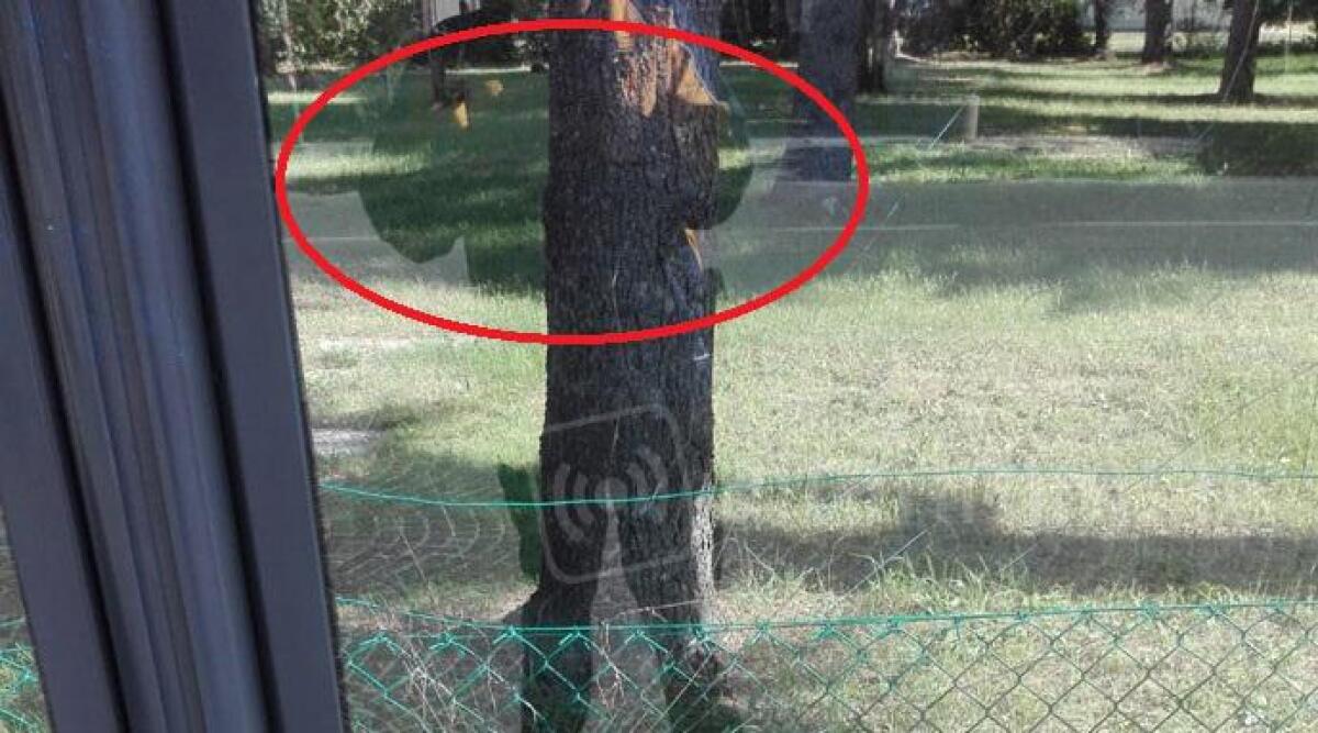 Vandali a sassate rompono il vetro della pensilina del bus a Corpol&ograve; - 