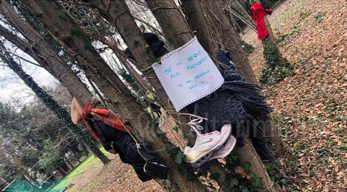 FOTO Vestire gli alberi con abiti inutilizzati ma in buono stato, piccolo successo per l'iniziativa riminese - 