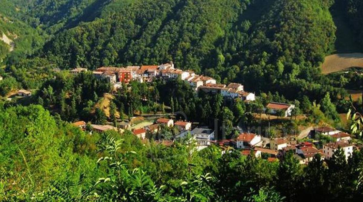 Nuova escursione in zona Ranchio a Cesena con il gruppo Wwf Rimini - 