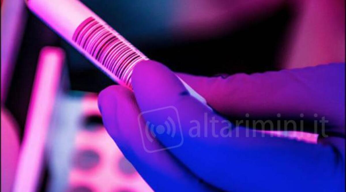Coronavirus: i dati del contagio in ogni comune della Provincia di Rimini - 