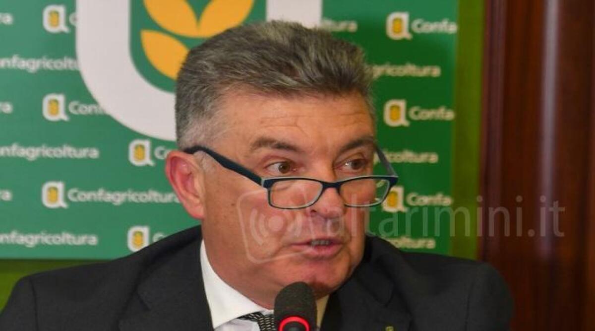 Confagricoltura Rimini, "sistema agroalimentare fondamentale per il futuro" - 