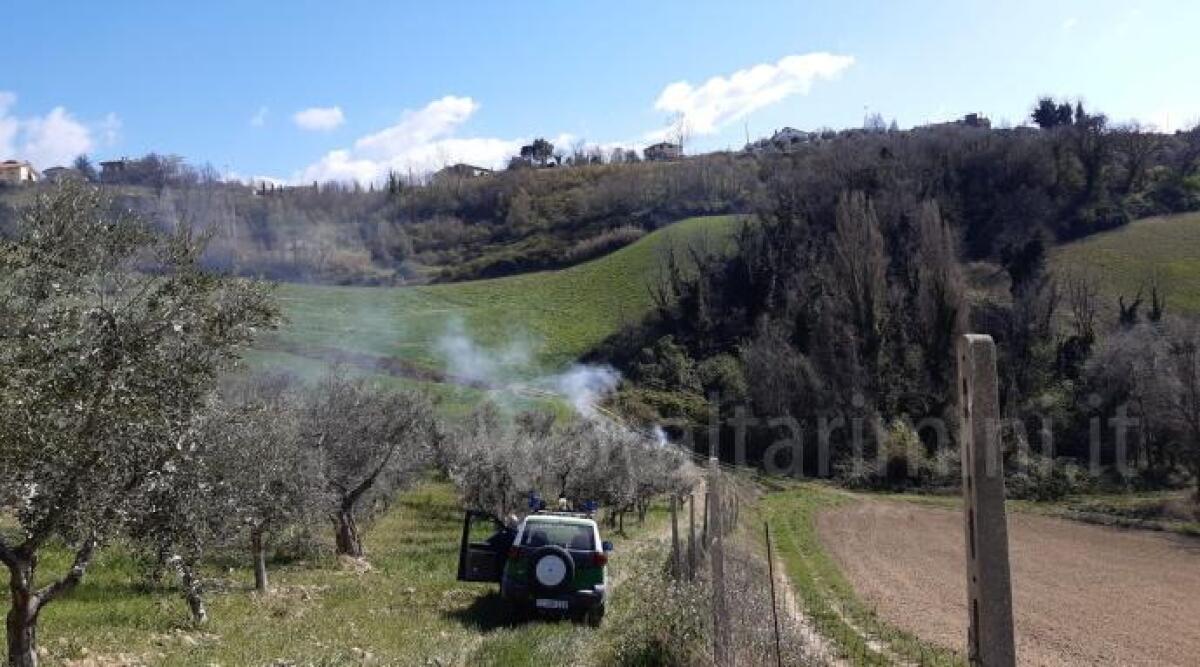 Covid 19, c’è chi passeggia, chi raccoglie asparagi e chi pesca: ancora 7 furbetti a spasso sanzionati -