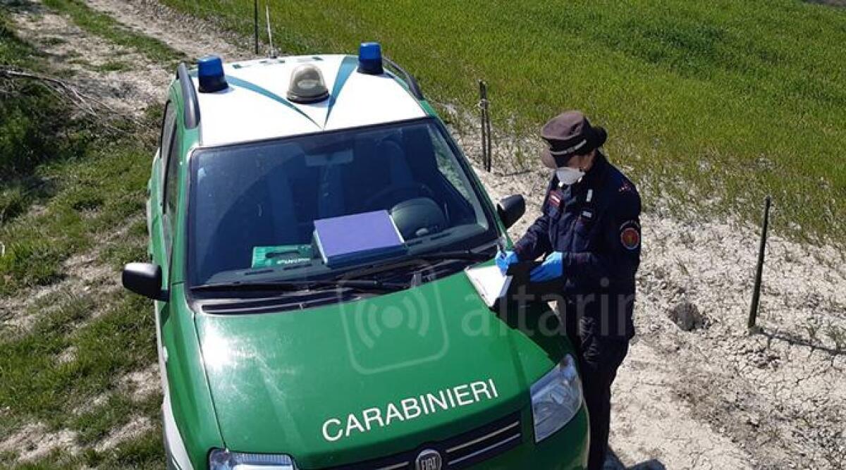 Covid-19: ciclista tenta la fuga in bici, ma la pattuglia lo insegue e lo ferma. Sanzionato - 