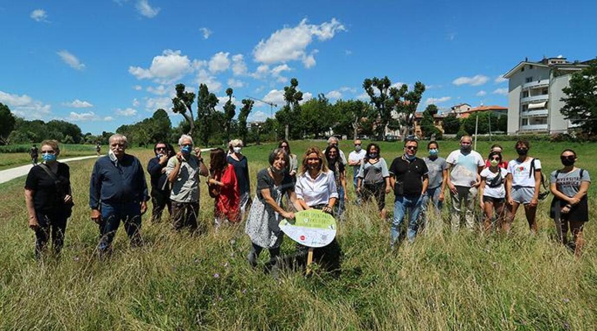AUDIO Non è erba alta né degrado, ma verde spontaneo: Rimini sempre più ecosostenibile -