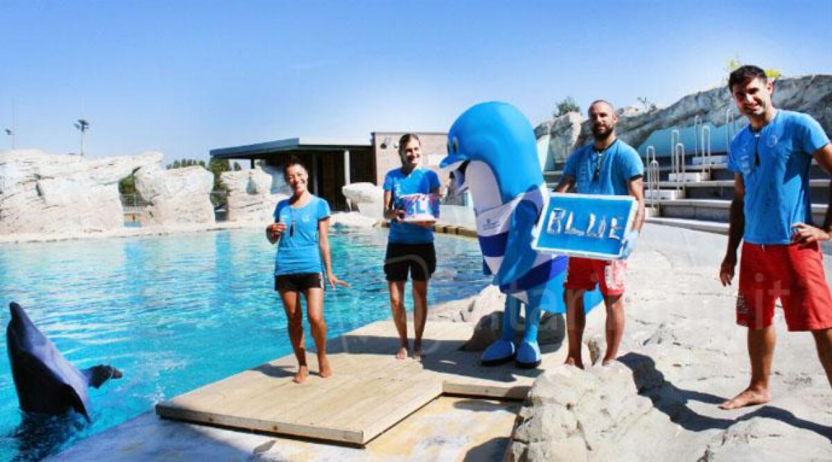 Oltremare festeggia il delfino Blue. Italia in Miniatura riapre il 1 luglio - 