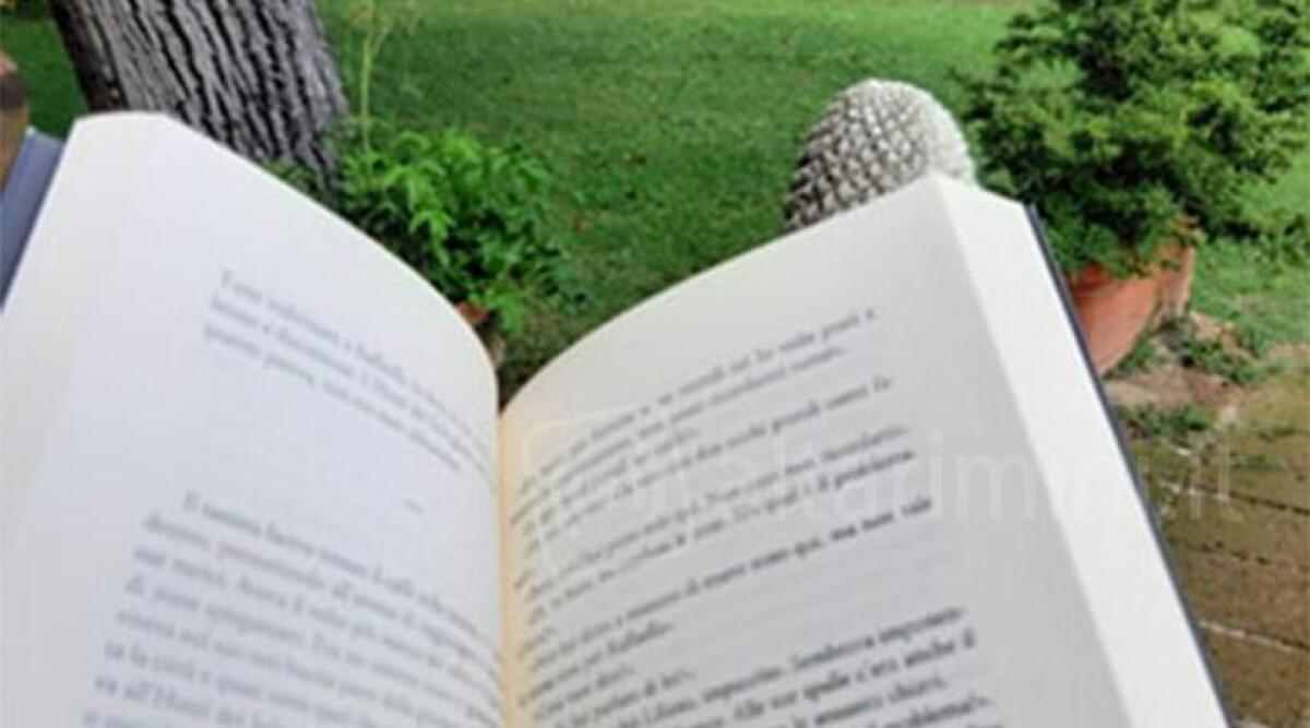 Pennabilli: come scrivere un libro in un'ora, con Saul Fucili e Lorenzo Lunadei -