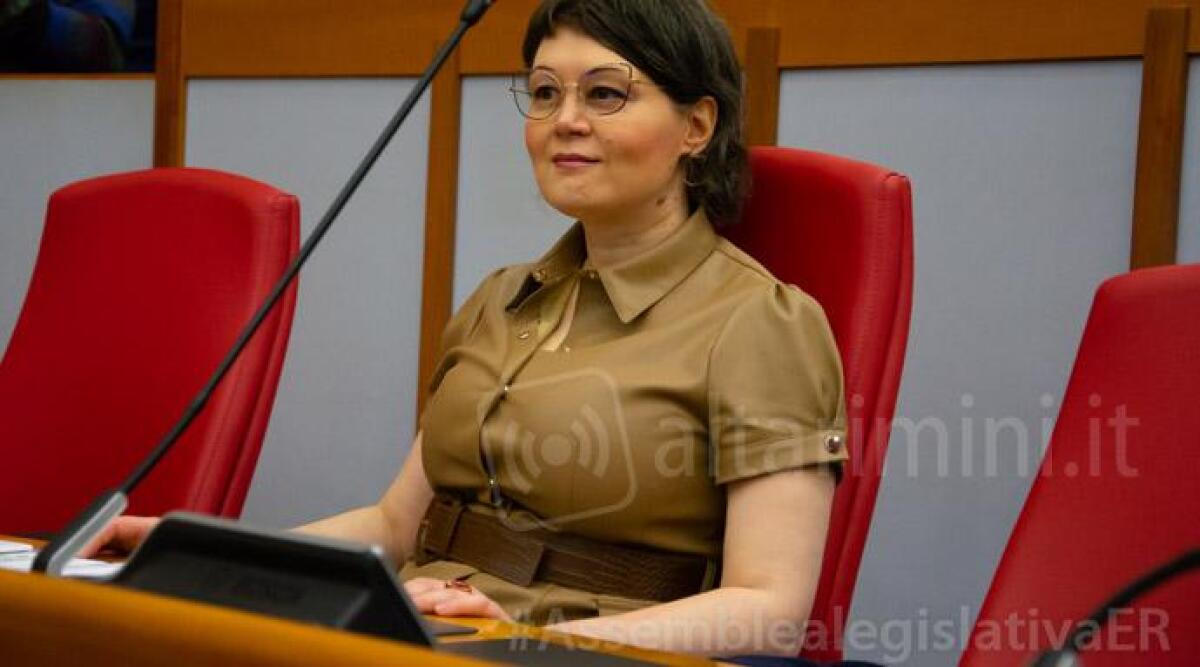 A Rimini manca un gattile: il caso arriva in Regione -