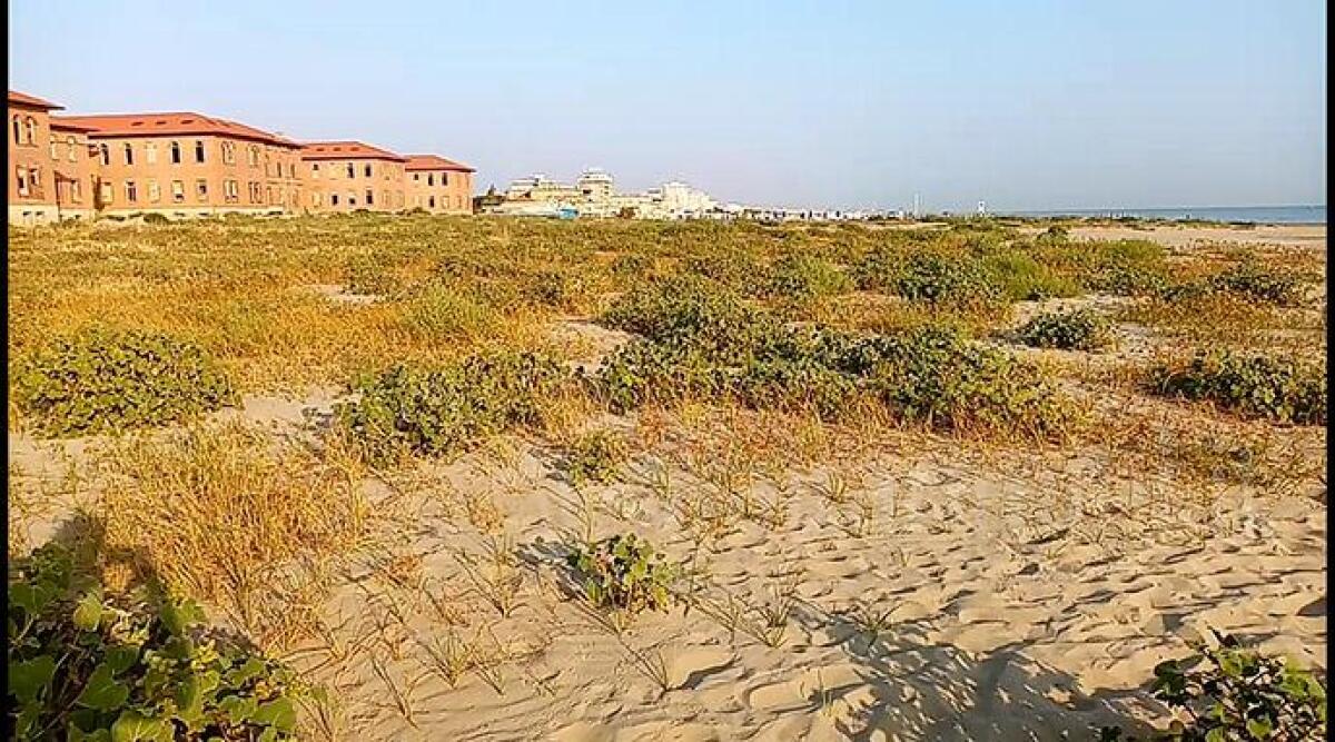 Duna naturale sulla spiaggia tra Rimini e Riccione, parte la petizione per difenderla - 