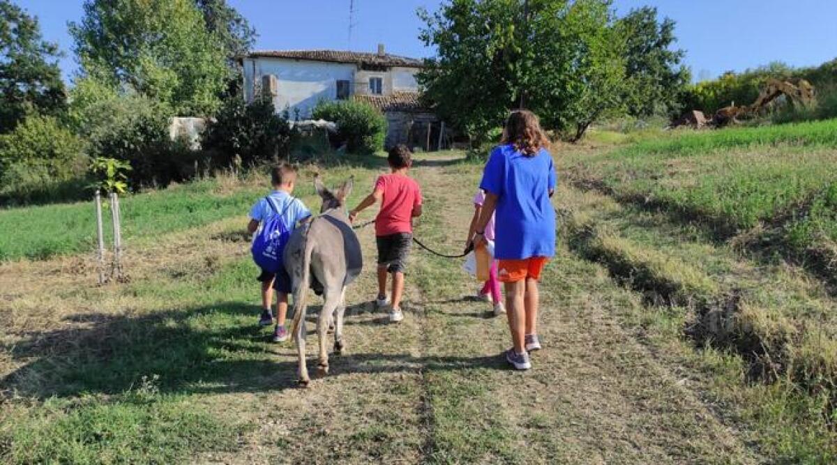 Due open day al podere Santa Pazienza per conoscere il nuovo spazio educativo per bambini - 