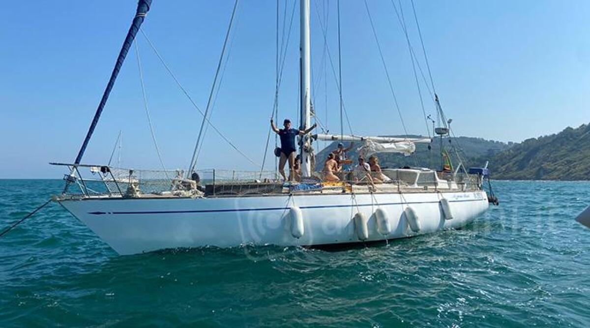 Escursioni in barca a vela alla ricerca dei delfini dell'Adriatico fronte Riccione fino a Cattolica -