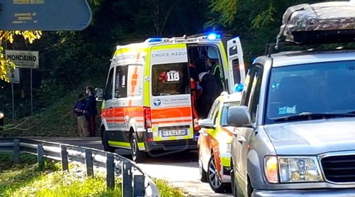 Cane da caccia 'investe" gruppo di ciclisti: due feriti, grave una ragazza -