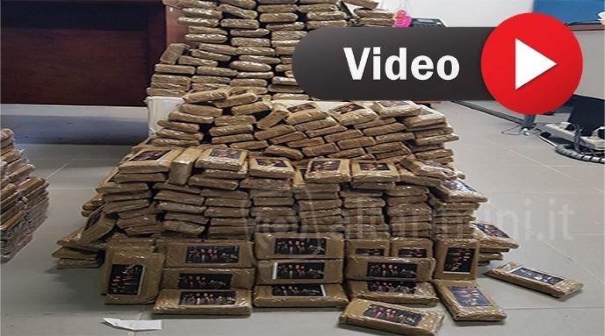 VIDEO Sequestro record di stupefacente a Rimini, quasi tre quintali. Tre arresti -