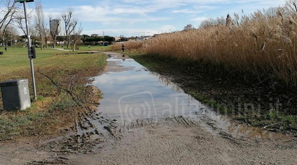 Paludi nel parco Marecchia, passeggiata impraticabile - 