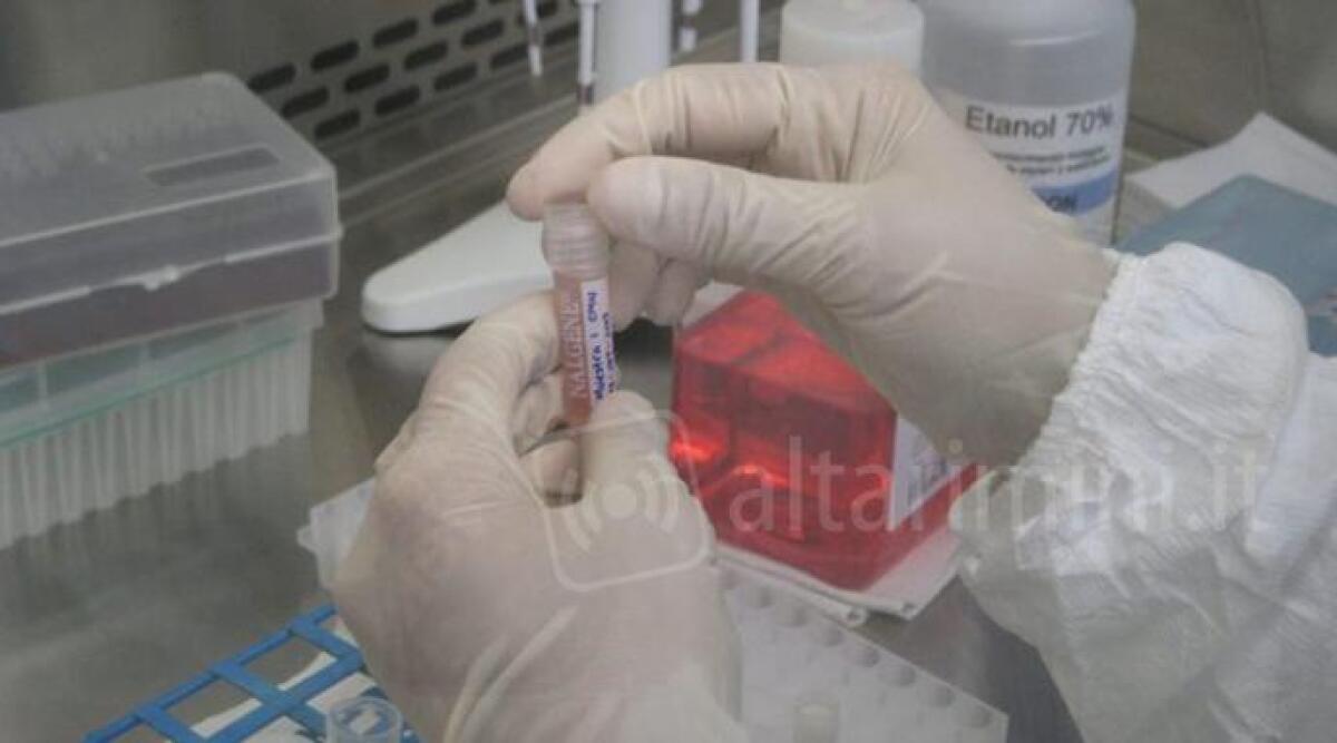 Coronavirus Rimini: 178 nuovi casi, -1 terapie intensive e nessun decesso - 