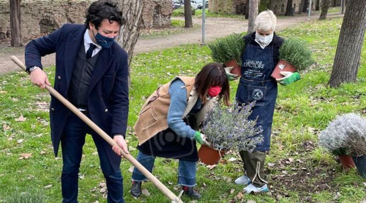 Rifioriscono i giardini di via Matteotti, grazie agli studenti e ai volontari riminesi - 