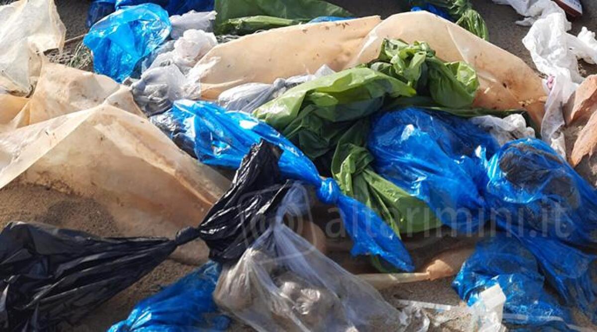 Viserba, sacchetto con feci di cane abbandonato in riva al mare - 