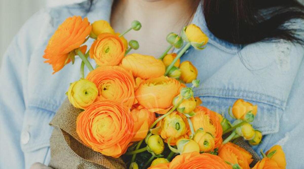 San Valentino: "comprate bouquet di fiori made in Italy per risollevare il settore" - 