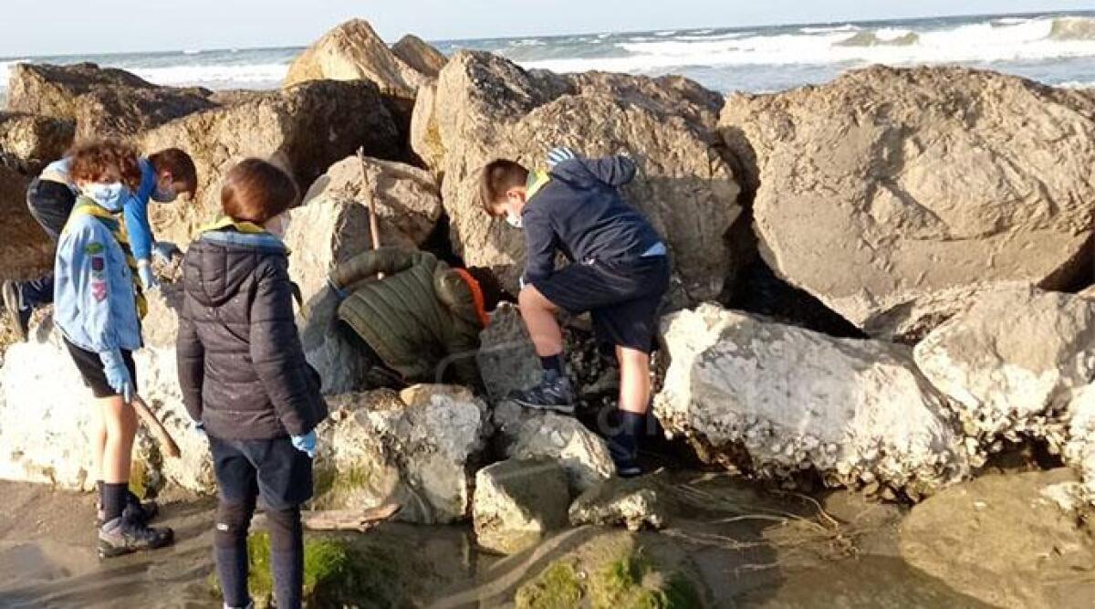Misano: i piccoli scout ripuliscono la spiaggia dai rifiuti -