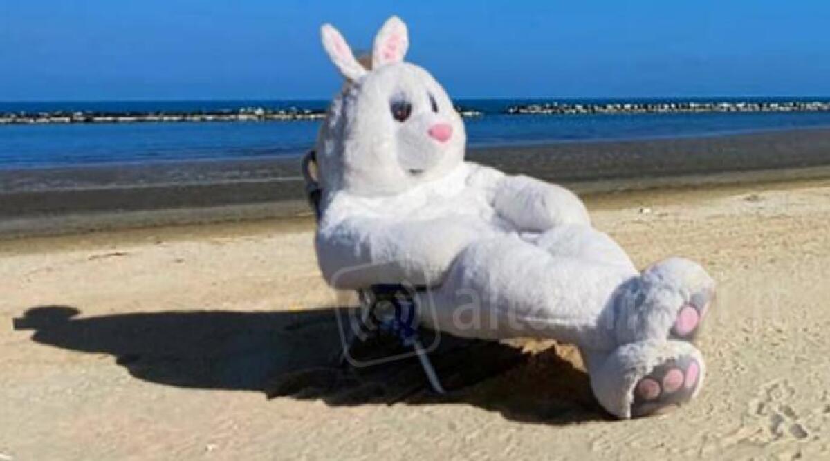 Igea Marina, sulla spiaggia spunta fuori il Coniglio pasquale - 