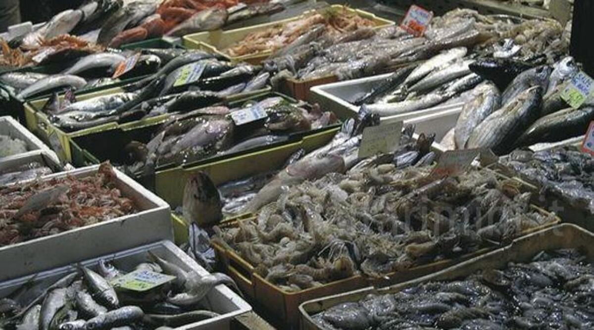Mercato ittico a Rimini, sul banco pesci troppo piccoli: sequestrati 24 kg di prodotto - Immagine di repertorio