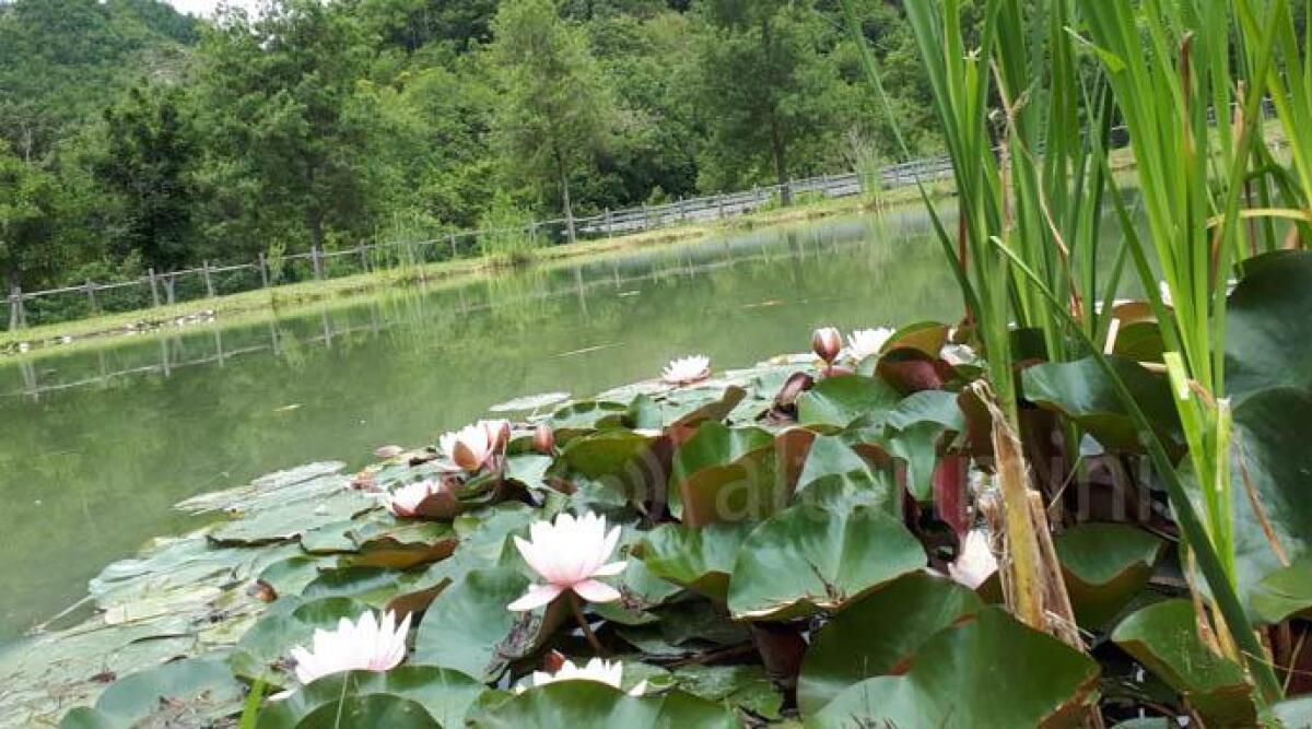 Nuova stagione dell'Eco Park di Casteldelci, gestito da ragazzi ventenni del posto -