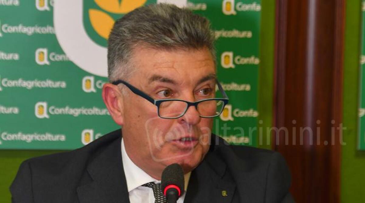 Confagricoltura: il riminese Carlo Carli confermato presidente - 