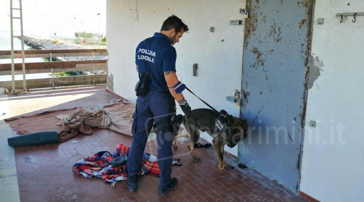 Degrado ai capanni di pesca alla foce del Marecchia: trovate tracce di stupefacenti - 
