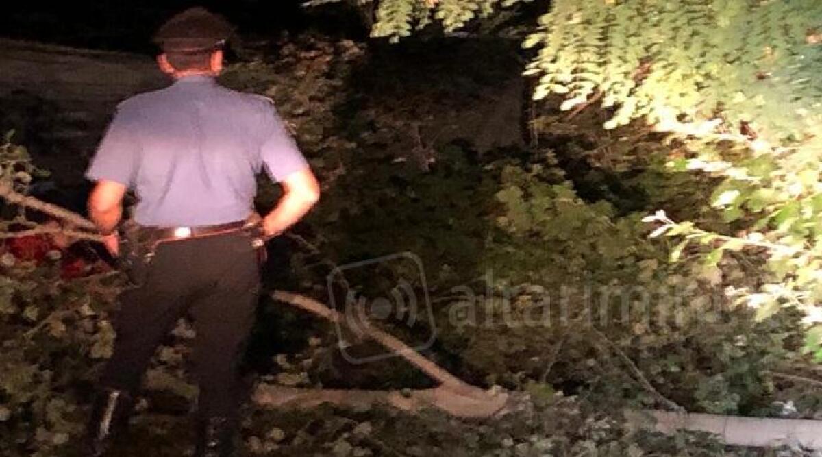 Novafeltria, crolla un ramo sulla testa, la vittima un ex Carabiniere - 