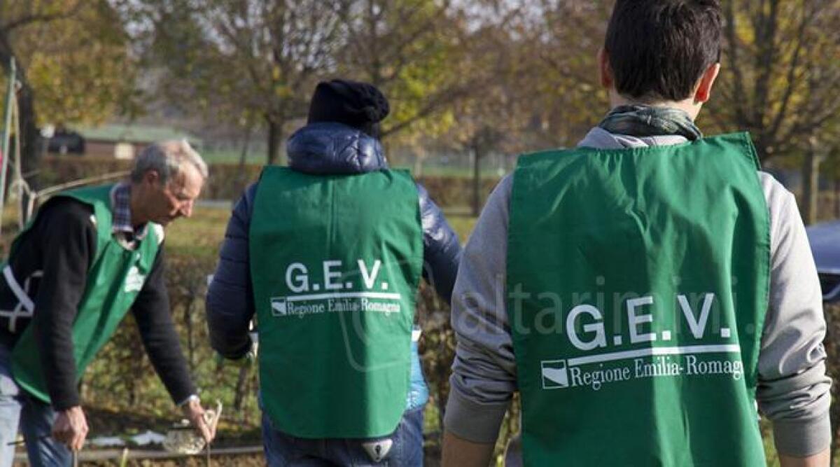 Furbetti dei rifiuti a Verucchio, 16 verbali delle Guardie Ecologiche Volontarie -