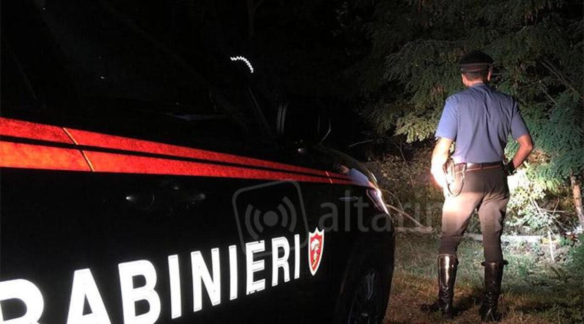 Travolto da un ramo caduto dall'albero, deceduto a Novafeltria - 