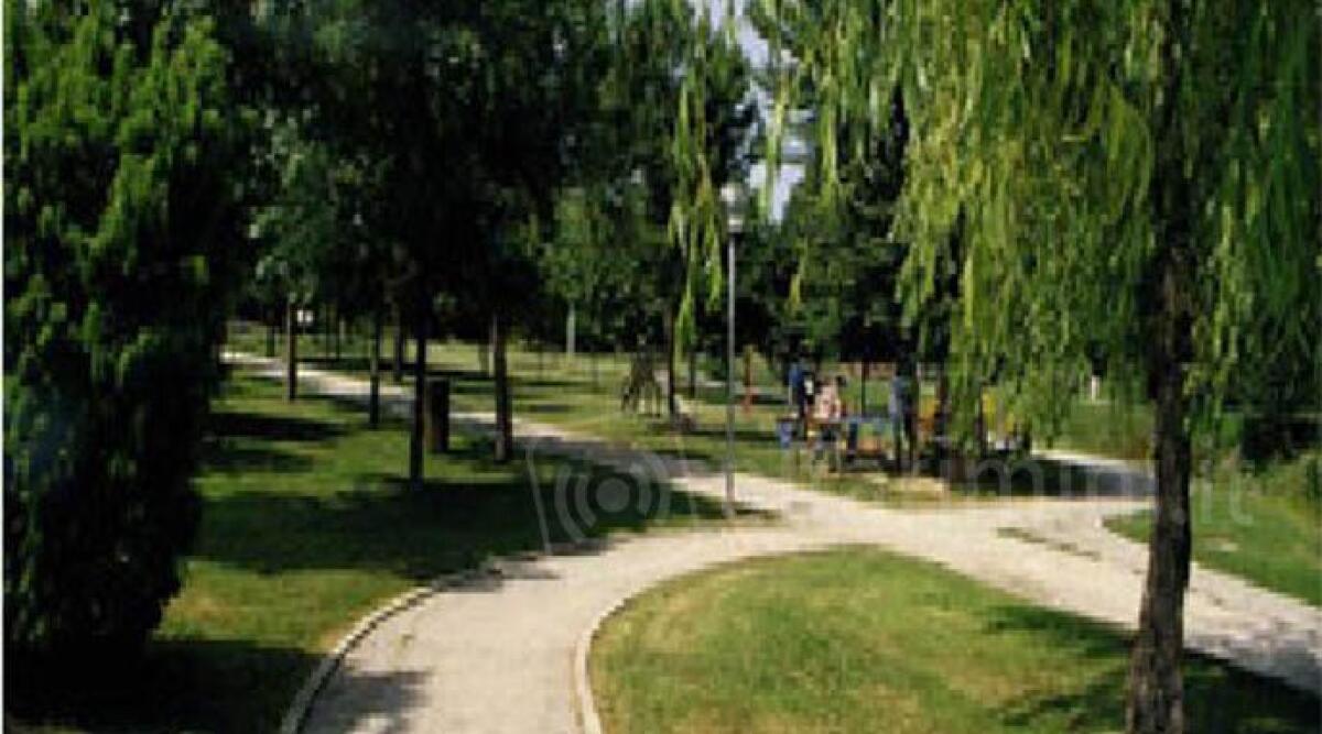 I cittadini che popolano il parco Ausa saranno ritratti da giovani pittori: la bella iniziativa - 