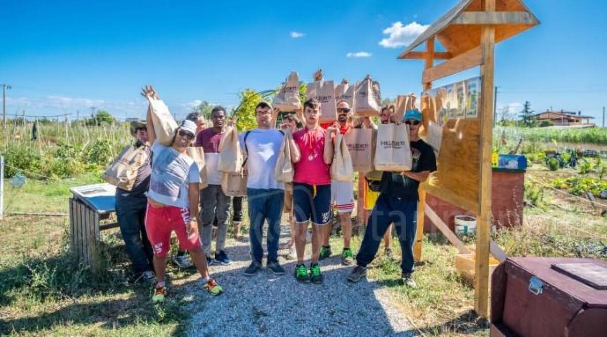 Rimini, tanti spazi adottati dagli alberghi con il progetto "Mille orti per il turismo" -