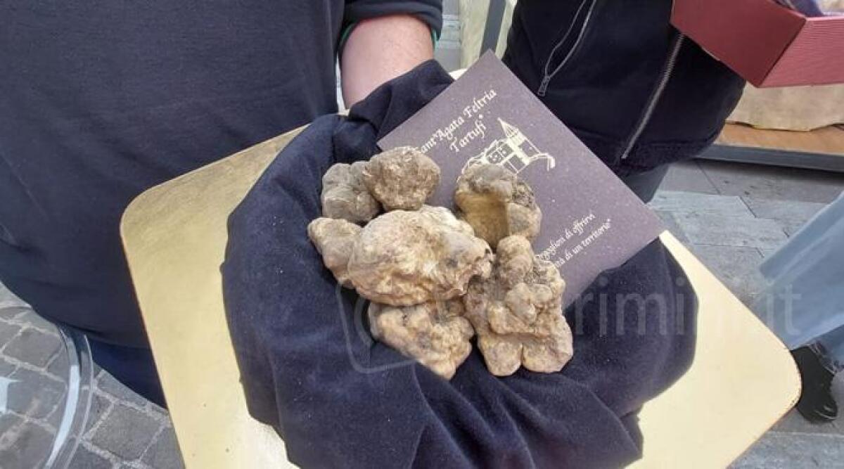 Sant'Agata Feltria: oltre 150 stand e visitatori da tutto il mondo, si conclude la Fiera del Tartufo -
