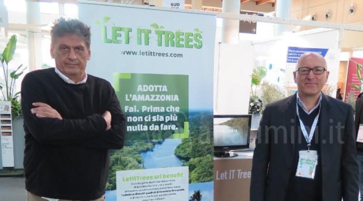 Nasce a Rimini "Let it trees" una start up per salvare la foresta Amazzonica - 