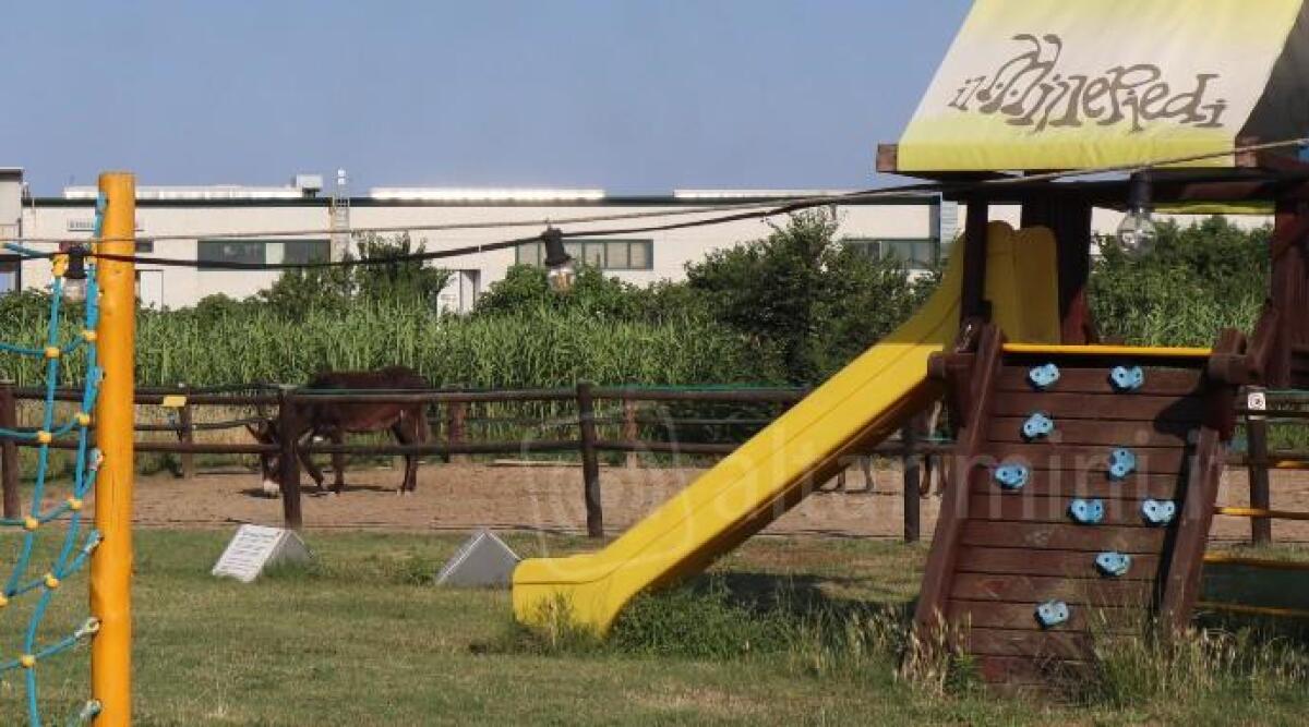 La cooperativa Il Millepiedi di Rimini cerca educatori e Oss - 
