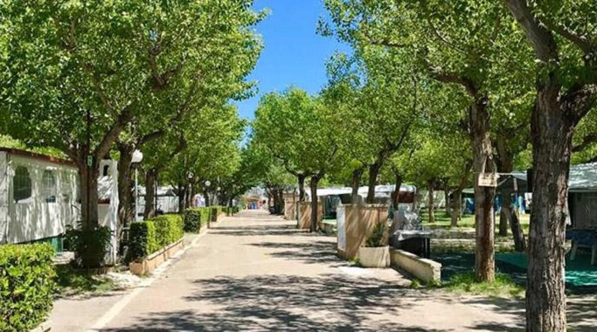 Riccione, nasce il maxicamping da 25 milioni. Trecento i nuovi posti di lavoro - 